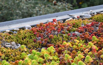 the cost of Dunston Heath green roof installation