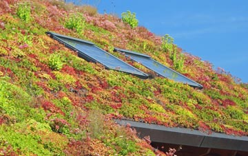 Dunston Heath living roof systems