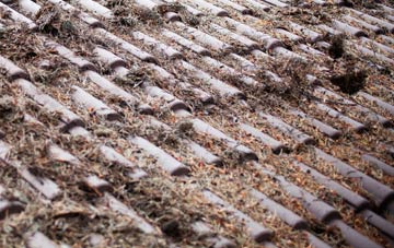 Dunston Heath roof cleaning companies