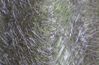 Dunston Heath fibreglass roof work